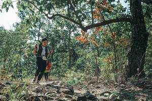 BIB: 
                            <button type="button" onclick="openModal(26116374)" class="btn btn-primary btn-sm float-right btn-popup" data-toggle="modal" data-target=".modal-high-quality">
                        <i class="fas fa-shopping-cart"></i> Add to Cart
                    </button>
                                            <button type="button" onclick="isThisMe(26116374, true)" class="btn btn-success btn-sm float-right btn-popup btn-isme hidden" data-toggle="tooltip" data-placement="bottom" title="นี่คือรูปของคุณใช่ไหม คลิกที่นี่เพื่อเอาเข้าอัลบั้ม">
                        <i class="fas fa-plus"></i> Add to album
                    </button>
                    <button type="button" onclick="isThisMe(26116374, false)" class="btn btn-warning btn-sm float-right btn-popup btn-isnotme hidden">
                        <i class="fas fa-ban"></i> Remove from album
                    </button>